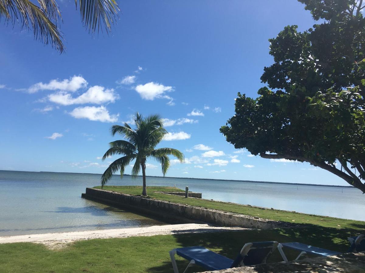 Almond Tree Hotel Resort Corozal Dış mekan fotoğraf