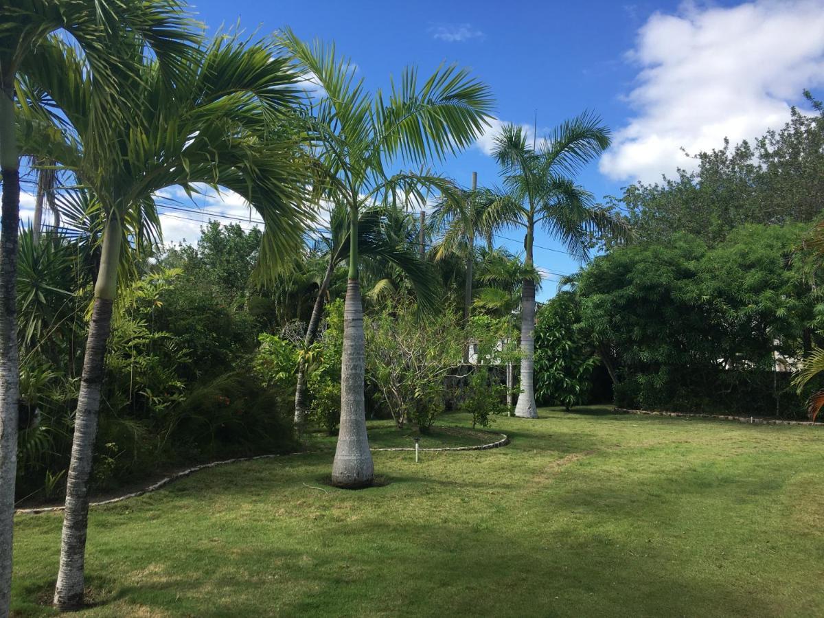 Almond Tree Hotel Resort Corozal Dış mekan fotoğraf