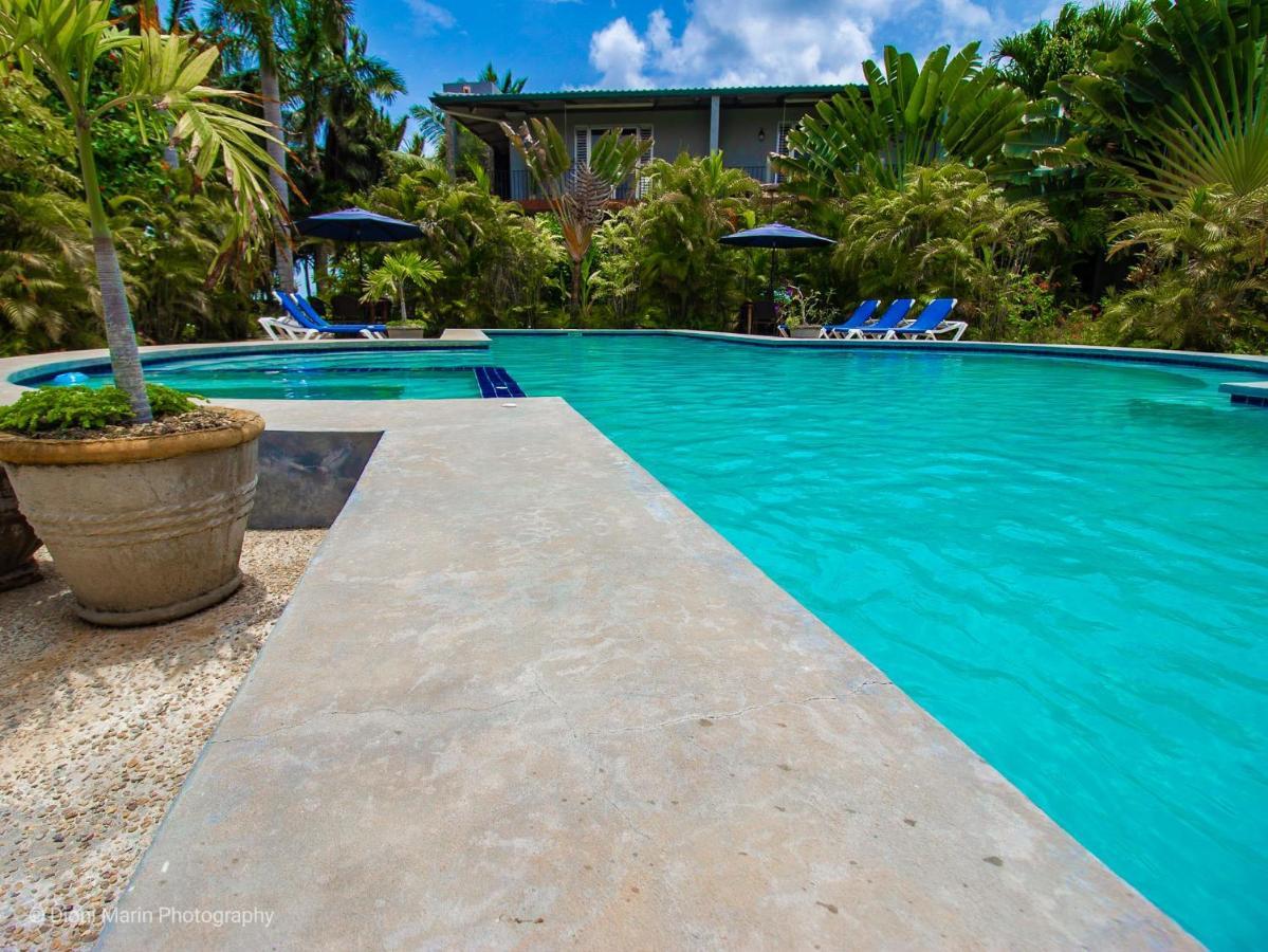 Almond Tree Hotel Resort Corozal Dış mekan fotoğraf