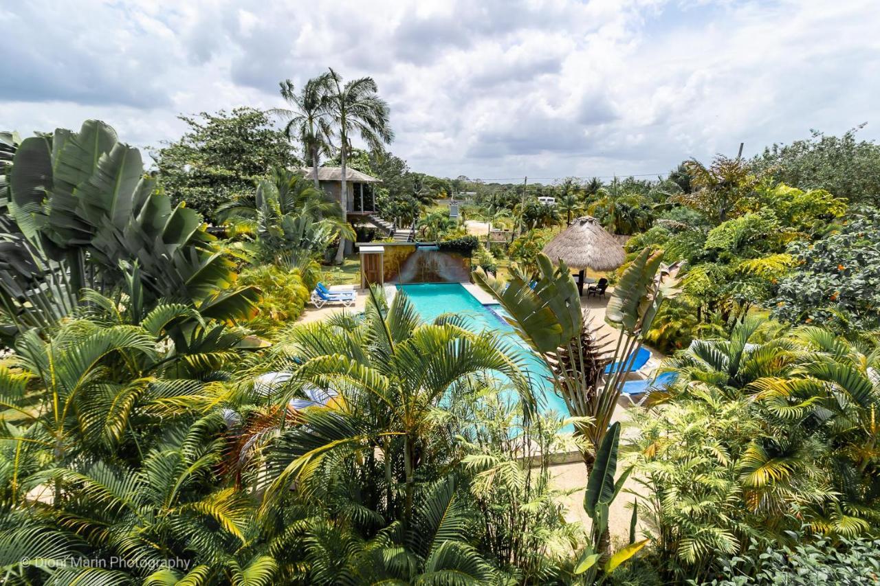 Almond Tree Hotel Resort Corozal Dış mekan fotoğraf