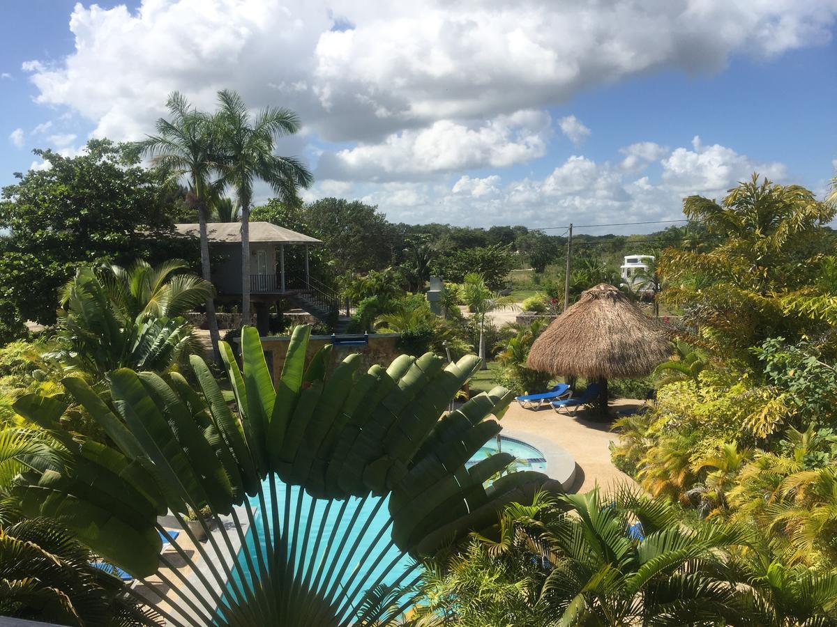 Almond Tree Hotel Resort Corozal Dış mekan fotoğraf