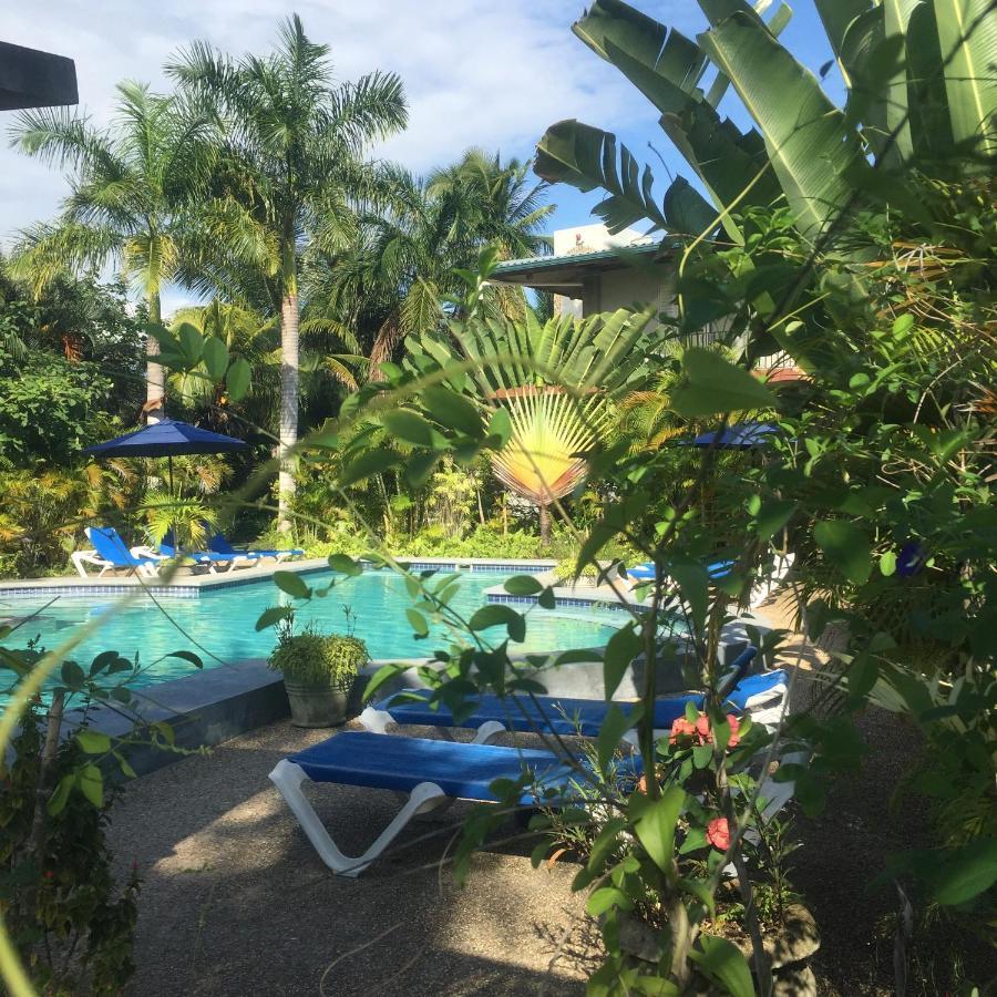 Almond Tree Hotel Resort Corozal Dış mekan fotoğraf