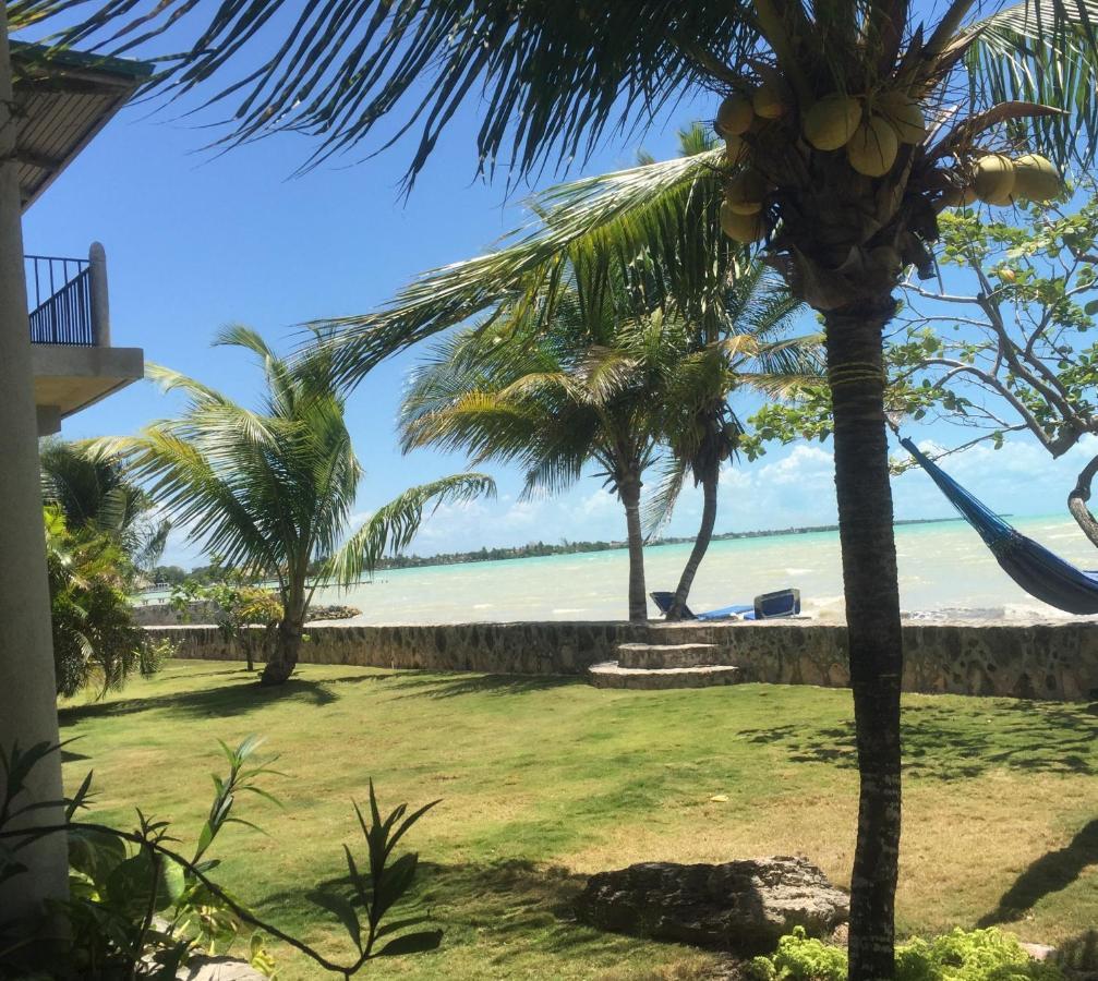 Almond Tree Hotel Resort Corozal Dış mekan fotoğraf