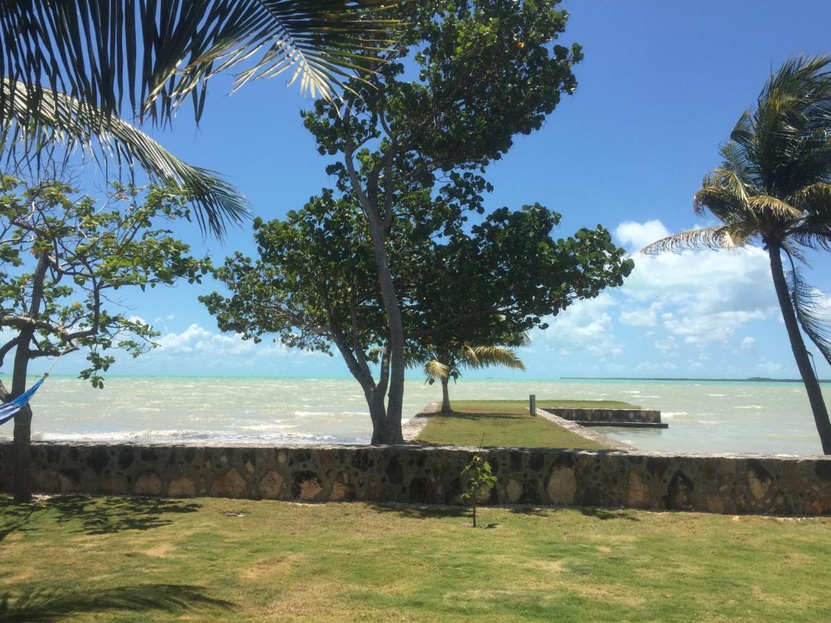 Almond Tree Hotel Resort Corozal Dış mekan fotoğraf